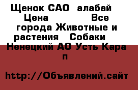 Щенок САО (алабай) › Цена ­ 10 000 - Все города Животные и растения » Собаки   . Ненецкий АО,Усть-Кара п.